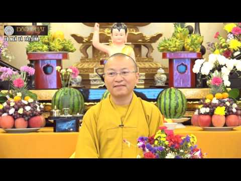 Vấn đáp: Vô ngã và tái sinh, quy y Tăng, Chuyển hóa cơn giận, khái niệm tam giáo đồng nguyên,  vượt qua cú sốc văn hóa