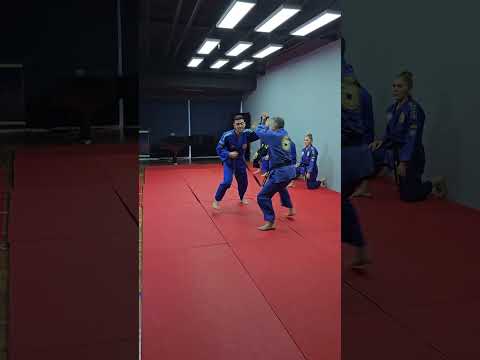 DEMONSTRATION OF THE 1ST TEAM OF AZERBAIJAN REAL AIKIDO FEDERATION (Serbia 2023)