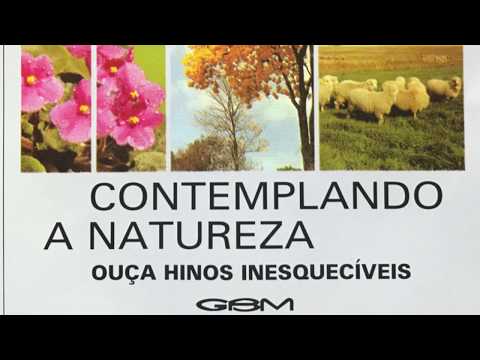 Um tempo que não volta mais 012