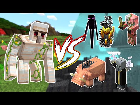 Iron Golem VS Enderman Blaze Hoglin Zombified Piglin Evoker Piglin Brute