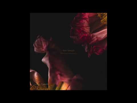 Indefinite Pitch PREMIERES. Van Morph - Forerunner [Lotus Parable]