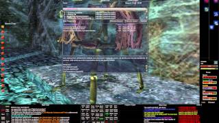 EverQuest The Broken Mirror Gameplay