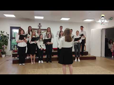 Zbor mladih Hilarus - Ljubav