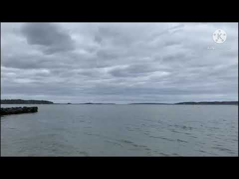 Beach Sounds|| wave soundsll Relaxing videos