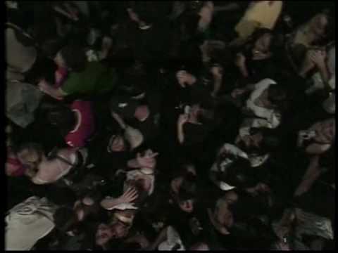 Erika & Magic Box - For Your Love