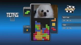 YTPMV | Tetris Main Theme ( Gabe The Dog Remix )