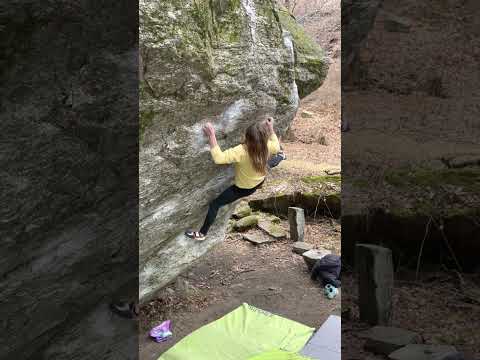 Teamwork 8A/V11: Michaela Kiersch