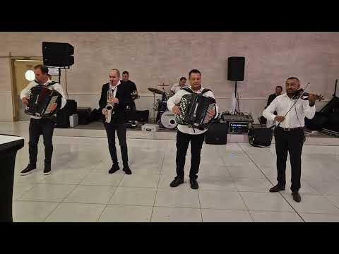 Orkestar Darka Antića - Svadba sa Tare veselje kod Kurte🎹🥁🎤🪗🪗❤️