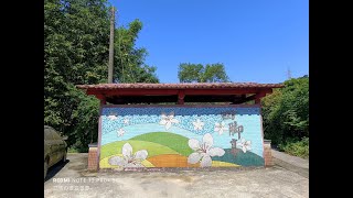 桐花已盡 美麗不減.....瑞芳~四腳亭砲台!