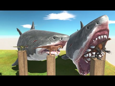 Who will Survive The Volcano Megalodon Shark Attack - Animal Revolt Battle Simulator 50 50 50 50