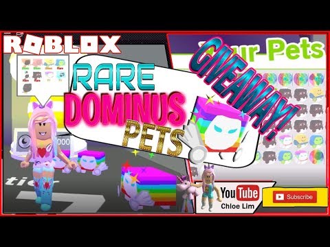 Roblox Gameplay Pet Simulator Shortest But Most Pets Giveaway Ever Dominus Rainbow Pets Steemit - roblox pet simulator tier 17 egg