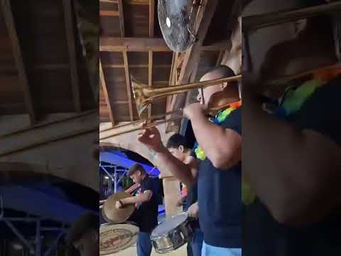 ¡BANDA PAPAYERA ARGELIA, ANTIOQUIA!🎉 PAPAYERA SHOW 📲 +57 3105956168