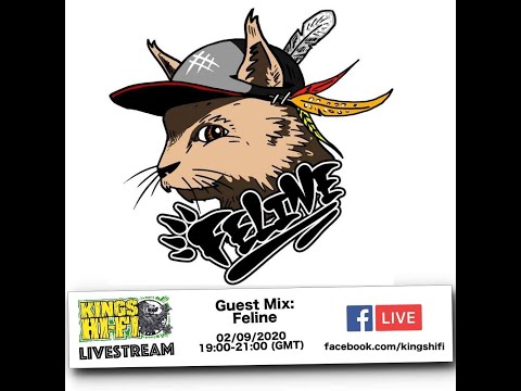 Feline featuring Munki (Jibberish Twig) on percussion takeova Kings Hifi Live Stream 02.09.20