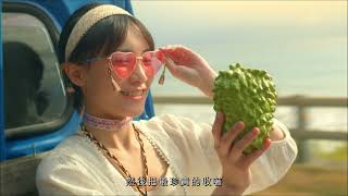 [問卦] 有沒有台東縣政府推廣交通違規的八卦？