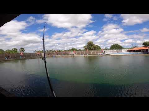 Pesqueiro Fortaleza - Pescaria de Tambaqui