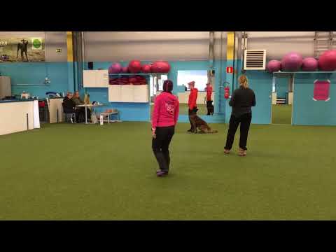 Off Line’s Mind Game ”Helka” toko alo1