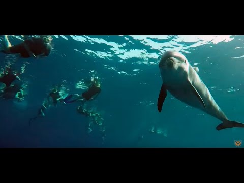 SECUINFRA Teamevent 2018 Januar - Soma Bay, Ägypten