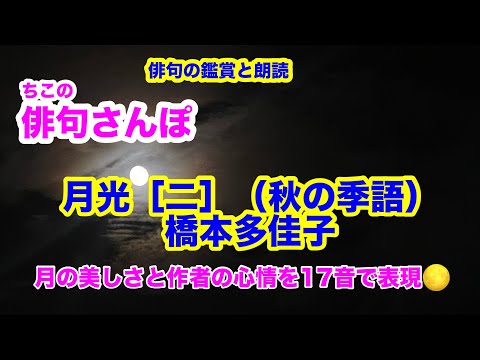 [Haiku Walk No. 140] Moonlight [II] (Autumn Seasonal Word) by Takako Hashimoto. Expressing the be...
