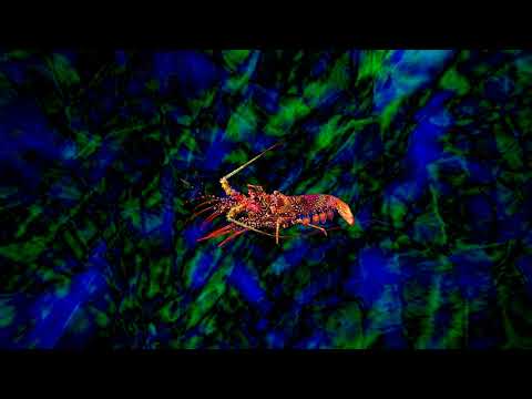 Progressive Rock Mix by Globus Hystericus - Guestmix Compilation - Volume 01