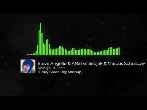 Steve Angello & AN21 vs. Sebjak & Marcus Schössow - Valodja In Liceu (Crazy Green Boy Mashup)