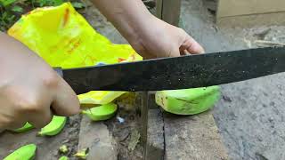 Morning vlog: a day in my life, feeding my ducks