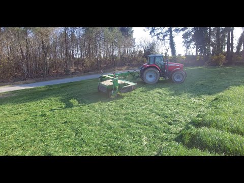 2 Massey Ferguson & un Case à la fauche