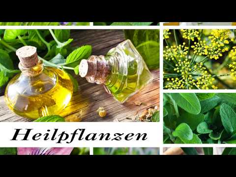 Diplom. Kräuterfachfrau/mann - Heilkräuter Ausbildung @BaBlü® Akademie