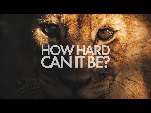 Learning to Photograph Wildlife in Namibia