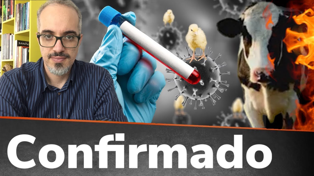 0LHA A M* QUE ELES FlZERAM AG0RA