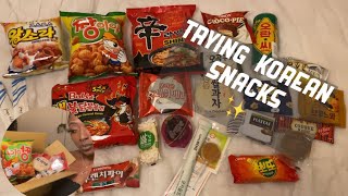 Trying The Dågåon Delightful Korean Snack Box 💢🤤 *From Amazon