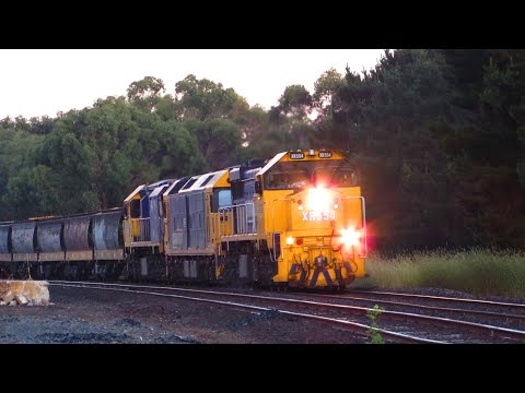 9158 Pacific National Broad Gauge Grain Train With XR554 G541 XR555 Seen Here At Meredith (7/1/23)