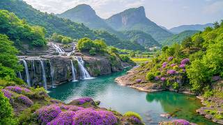 Forest Rest, Beautiful Relaxing Music, Peaceful Soothing Instrumental Music by Love YourSelf