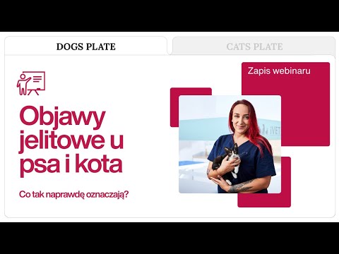 Webinar lek. wet. Aleksandra Szuba – objawy jelitowe u psa i kota