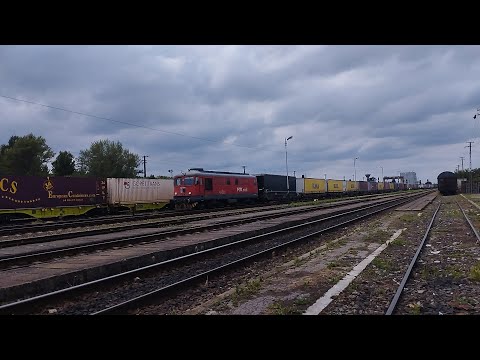 DA 609 009 Fox Rail sosind in gara Episcopia cu un tren intermodal din Ungaria