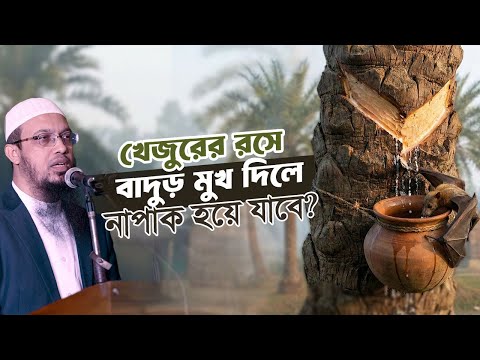 খেজুরের রসে কোনো প্রাণী মুখ দিলে নাপাক হয়ে যাবে