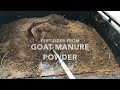 Powdered Goat Manure Fertilizer