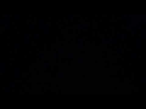 Neil, Liam, Elroy Finn "Fire In Your Belly" - Town Hall NYC