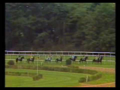 1983 Große Preis von Europa Vorstellung Starter