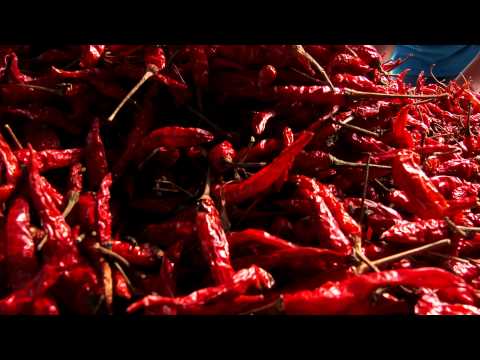 download lagu mp3 mp4 Thai Culinary Pepper, download lagu Thai Culinary Pepper gratis, unduh video klip Thai Culinary Pepper