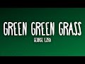 George Ezra Green Green Grass Letra Lyrics