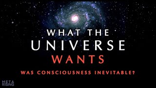 Does the Universe have a Purpose? ~ Consciousness Documentary