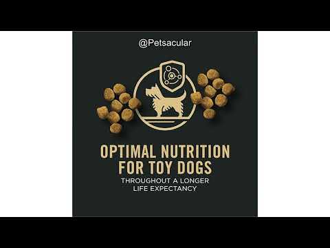 Purina Pro Plan Toy Breed Dog Food Review: Is This Formula Worth It for Small Dogs?