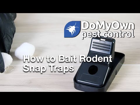  Baiting Rodent Snap Traps Video 