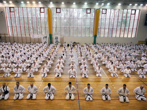 IKO Polish Fighters Camp