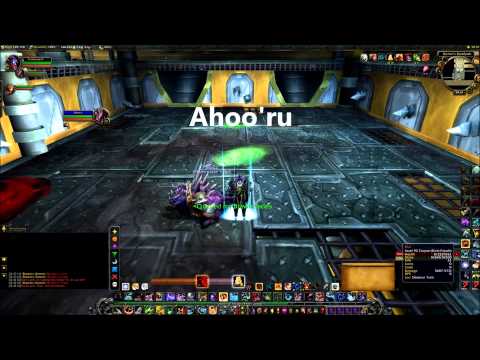 Brawler's Guild Rank 9 Guide (Hunter POV) 5.3 Big Badda Boom, Nibbleh, Doctor FIST, Ahoo'ru.