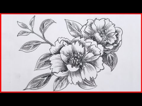 Drawing Flowers very Easy-step by step Demo for beginners/pencil drawing flowers-Shading B & White