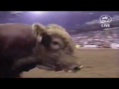 Lee Akin vs Ditto - 05 PBR Uncasville (89 pts)