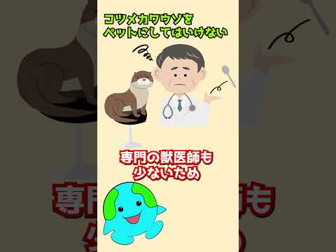 スムースコーテッドカワウソについて詳しく解説
