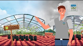 La decisión correcta - ANA Chile®