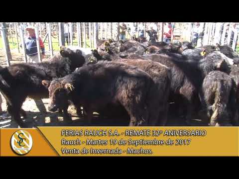 19-09-17 Venta de Machos - Ferias Rauch S.A. - Remate 32º Aniversario - Rauch.
